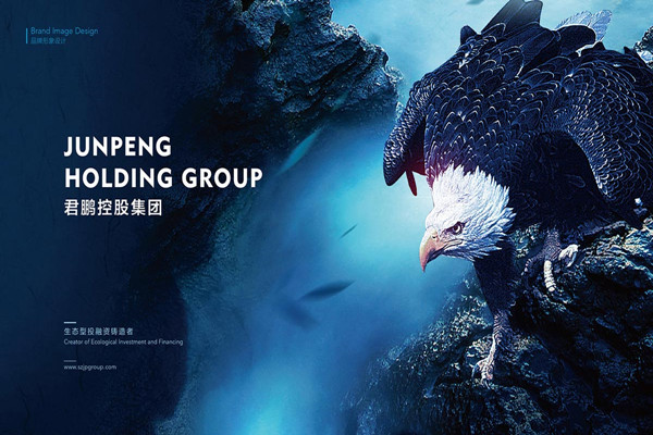 深圳VI設(shè)計公司