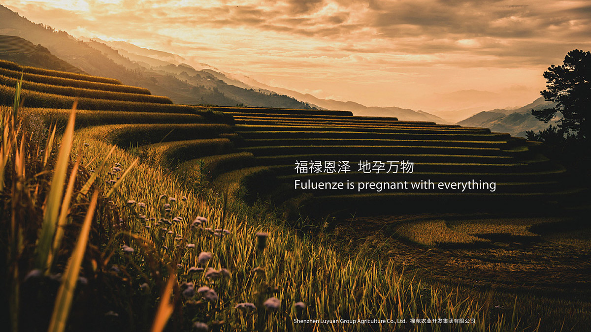 養(yǎng)老院vi設(shè)計(jì)