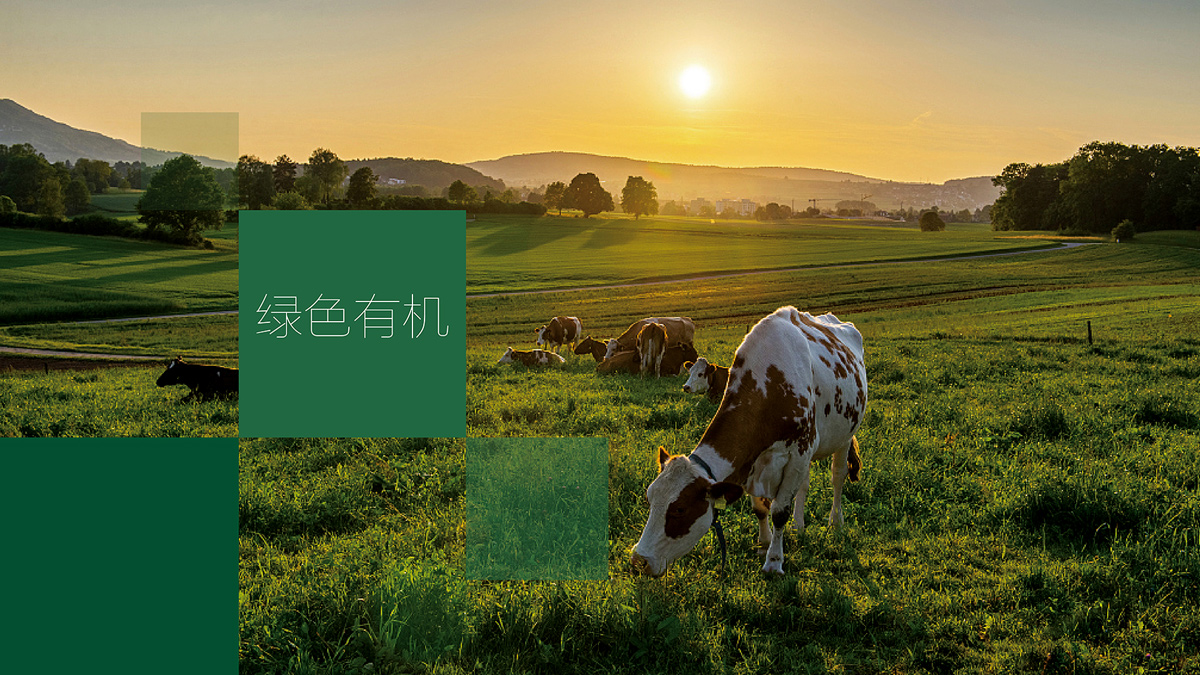品牌設(shè)計(jì)