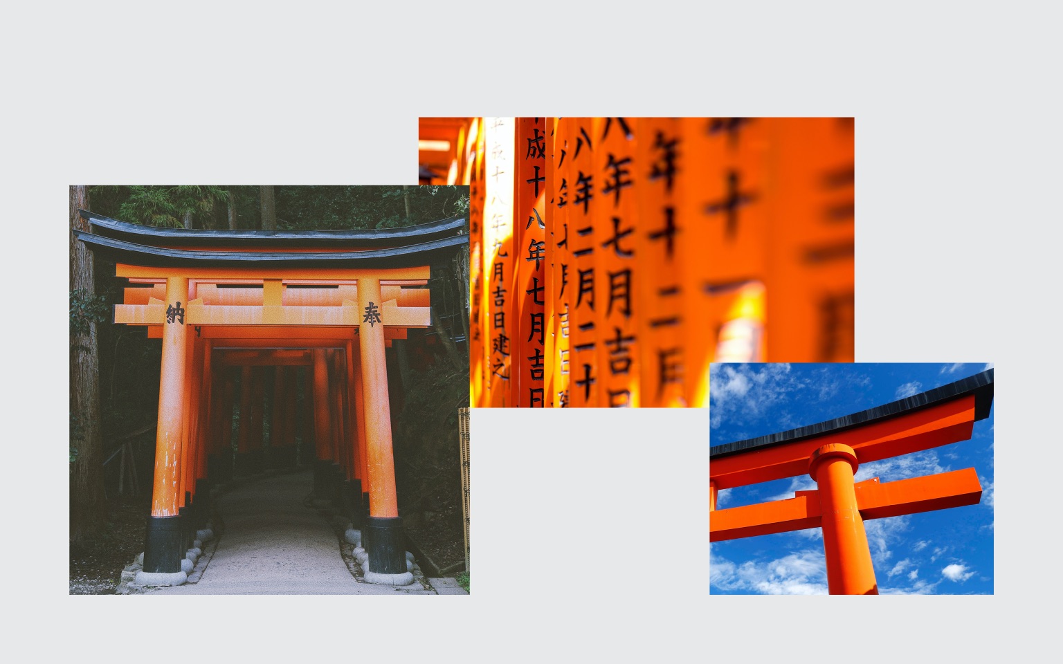 航空公司品牌形象設(shè)計